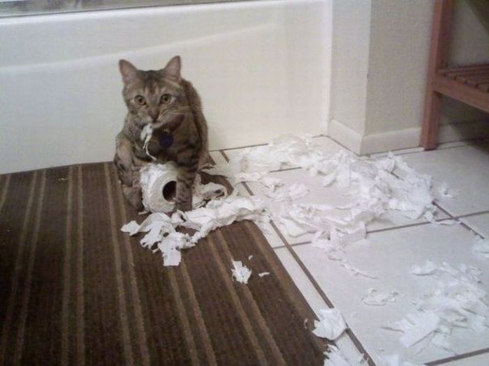 Acid Picdump (119 pics)