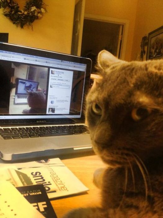 Acid Picdump (119 pics)