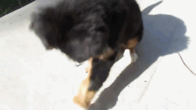 Acid Gifdump, June 28, 2013 (25 gifs)