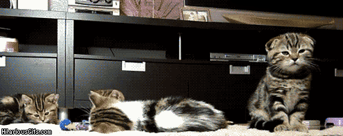 Acid Gifdump, June 28, 2013 (25 gifs)