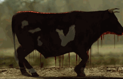 Acid Gifdump, June 28, 2013 (25 gifs)