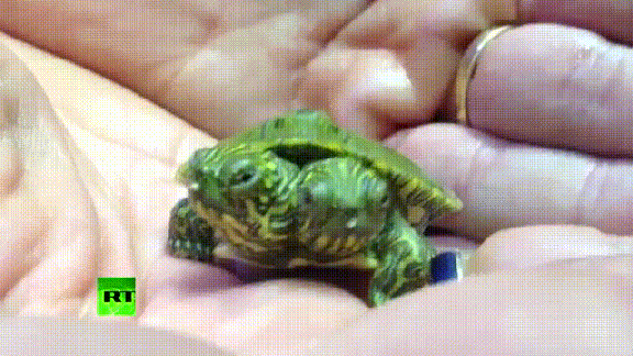 Acid Gifdump, June 28, 2013 (25 gifs)