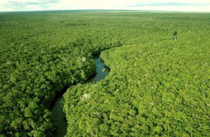 Amazon Forest Photo Tour (36 pics)