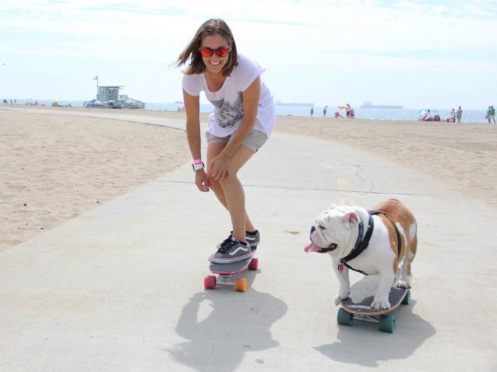 Beefy the Skateboarding Bulldog (20 pics)