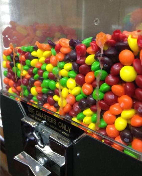 Signs It’s Too Hot Outside (20 pics) Signs It’s Too Hot Outside (20 pics)