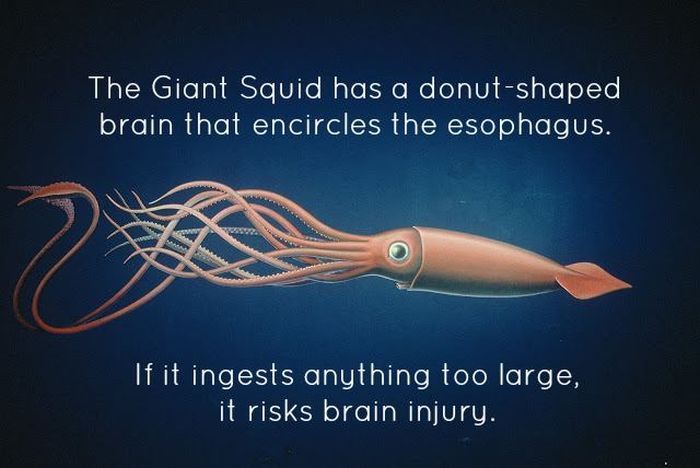 Interesting Facts About Science 36 Pics 