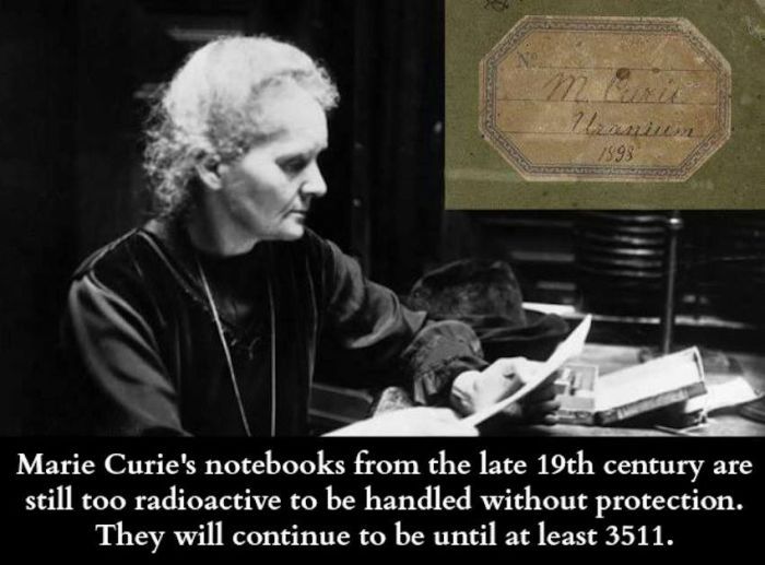 Interesting Facts About Science (36 pics)