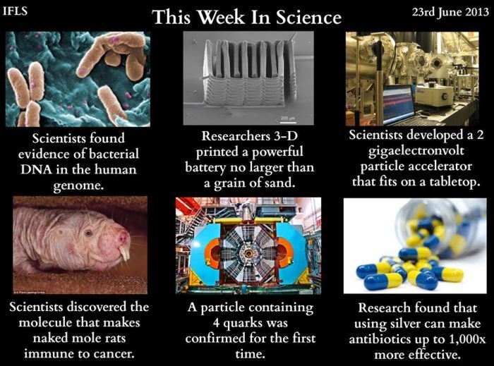 Interesting Facts About Science (36 pics)