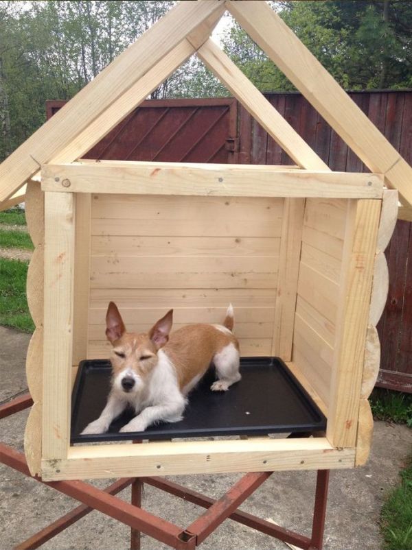 DIY Dog House (12 pics)