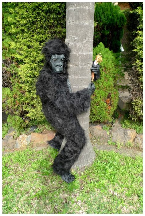 One Costume a Day (41 pics)