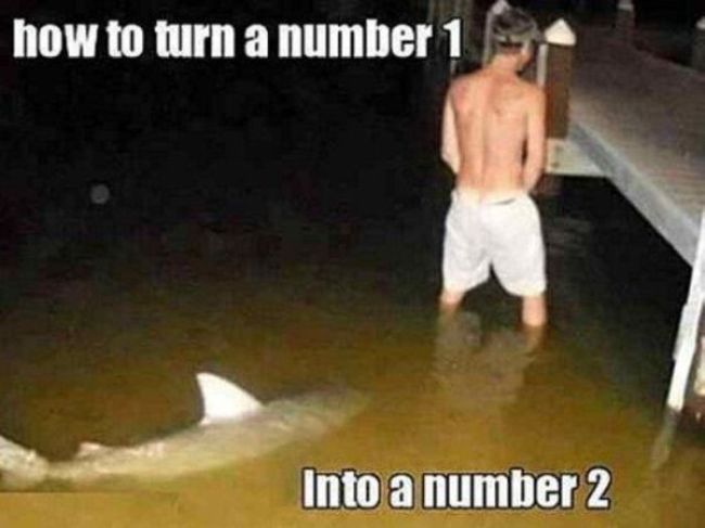 Funny Pictures with Captions (36 pics)
