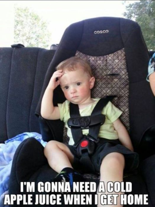 Funny Pictures with Captions (36 pics)