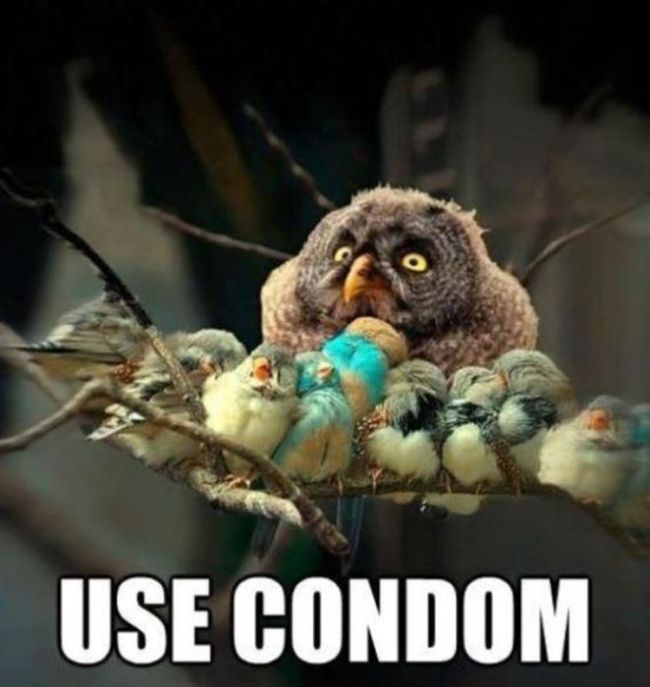 Funny Pictures with Captions (36 pics)