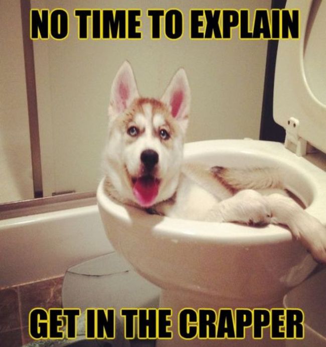 Funny Pictures with Captions (36 pics)