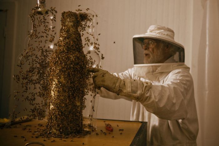 3D Printer Made Out of Bees (20 pics)