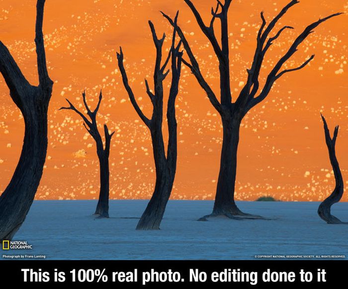 Beautiful Images and Interesting Facts (25 pics)