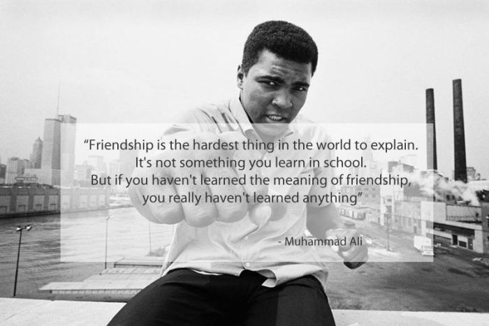 Famous Quotes on Friendship (15 pics)