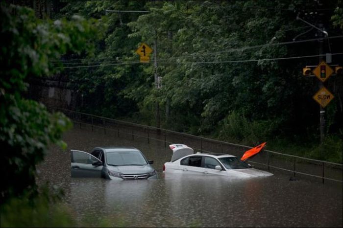 Extreme Flooding in Toronto (31 pics)