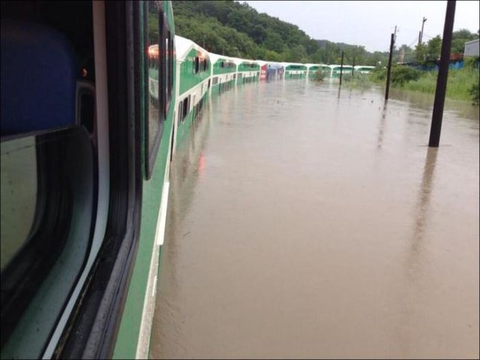 Extreme Flooding in Toronto (31 pics)