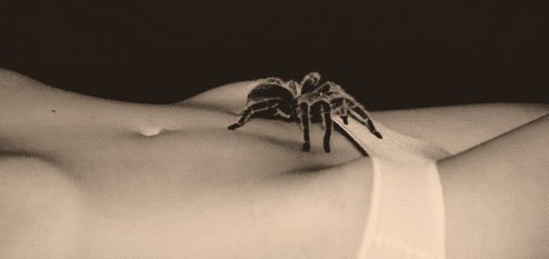 Acid Gifdump, July 10, 2013 (25 gifs)
