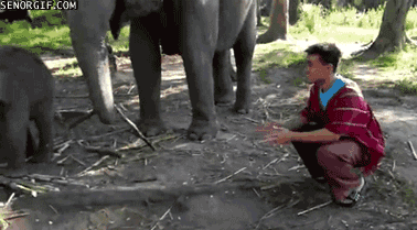 Acid Gifdump, July 10, 2013 (25 gifs)