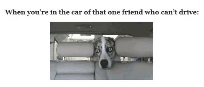 Did It Ever Happen to You When... Part 48 (16 gifs)