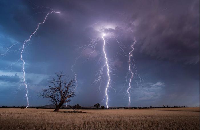 Lightnings (29 pics)