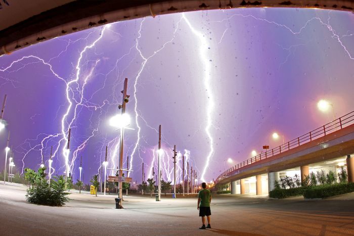 Lightnings (29 pics)
