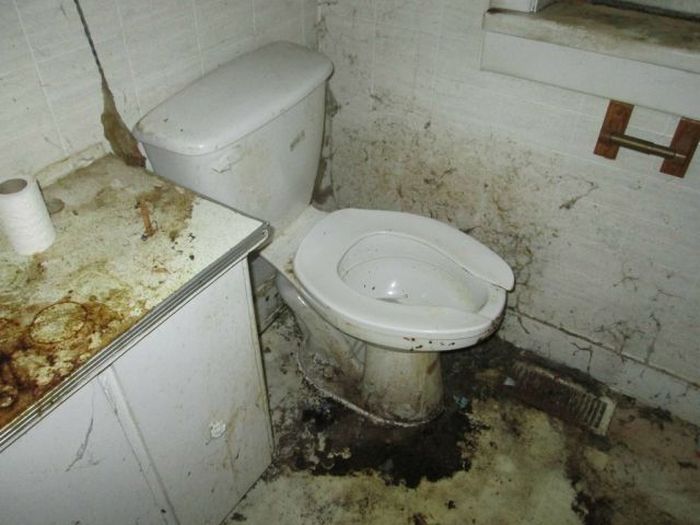 Choose Your Renters Carefully (13 pics)