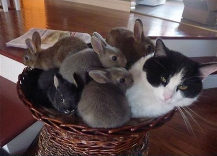 Something Here Doesn’t Quite Fit (30 pics)