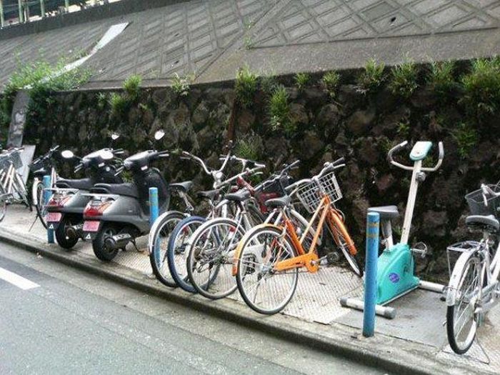 Something Here Doesn’t Quite Fit (30 pics)