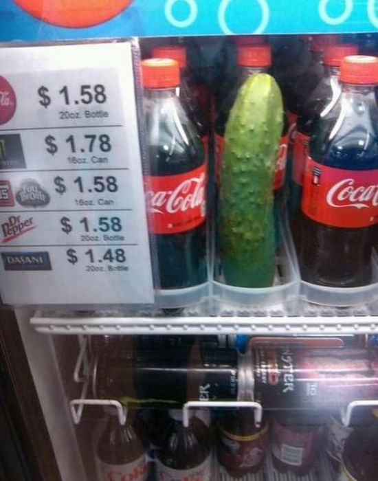 Something Here Doesn’t Quite Fit (30 pics)