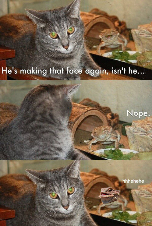 Acid Picdump (115 pics)