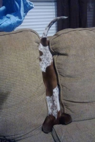 Acid Picdump (115 pics)