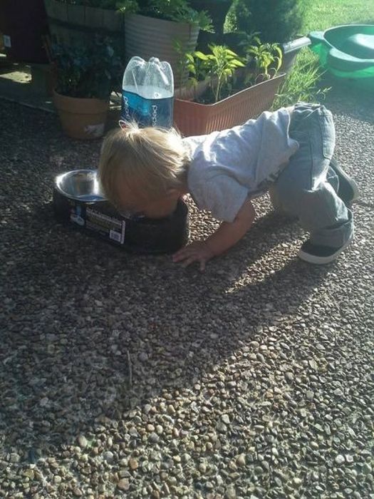 Acid Picdump (115 pics)
