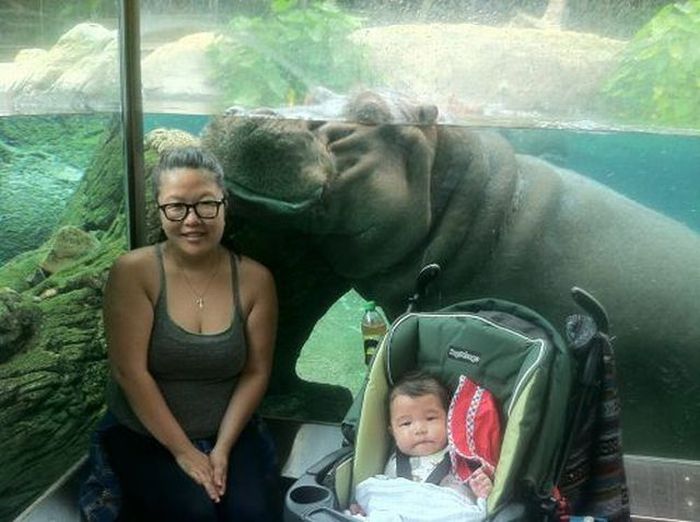 Acid Picdump (115 pics)