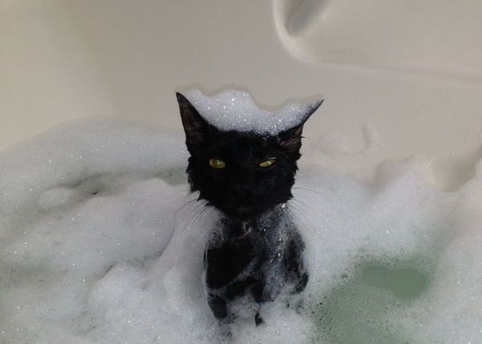 Acid Picdump (115 pics)