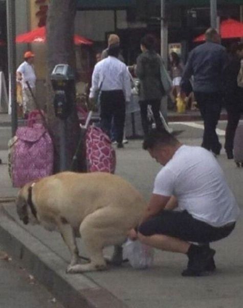 Acid Picdump (115 pics)