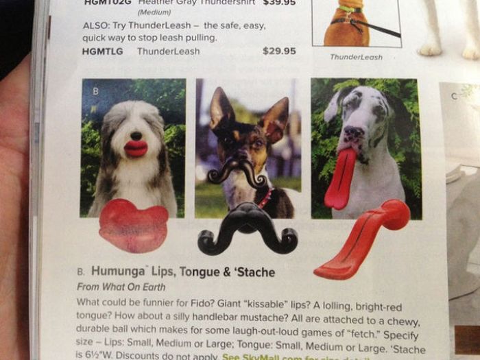 Crazy, Stupid and Insane Things You Can Buy in SkyMall (31 pics)
