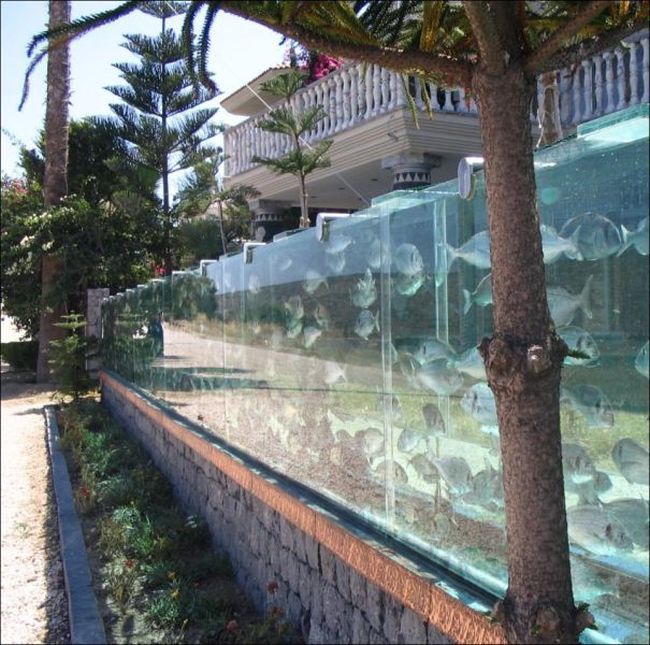 Aquarium Fence (4 pics)