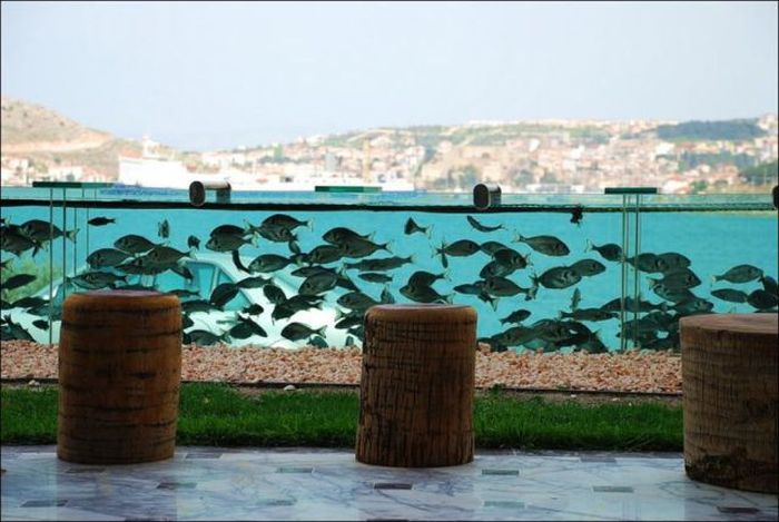 Aquarium Fence (4 pics)