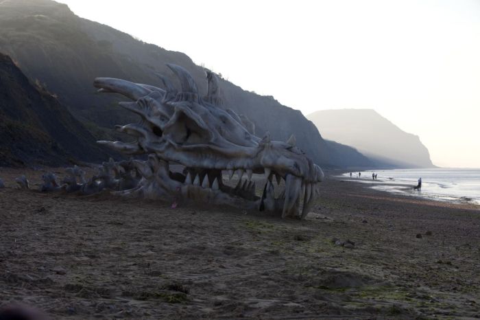 Huge Dragon Head (4 pics)