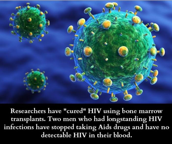 Interesting Scientific Facts (47 pics)