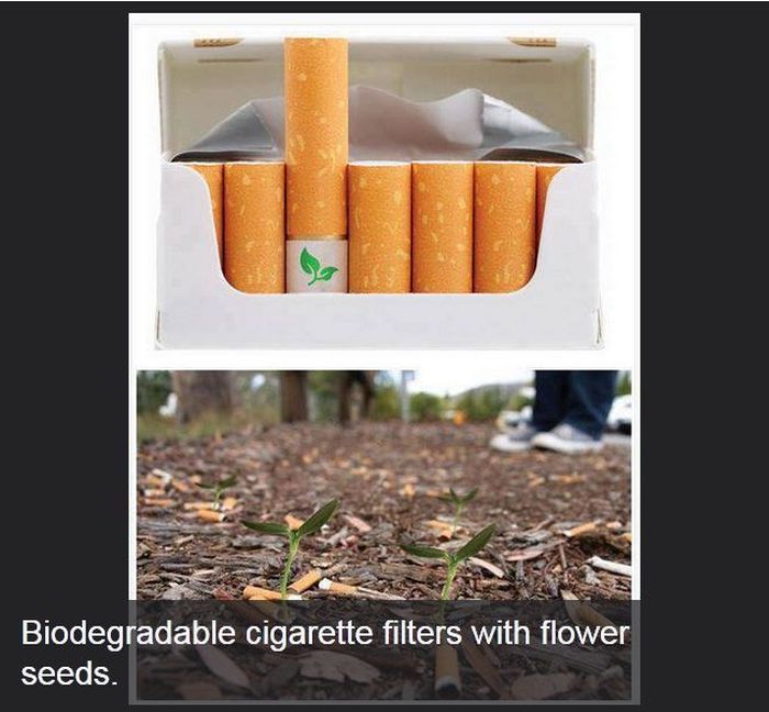 Interesting Scientific Facts (47 pics)