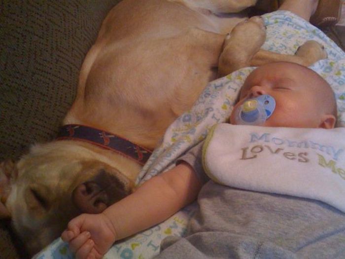 Kid and Dog Friendship (24 pics)