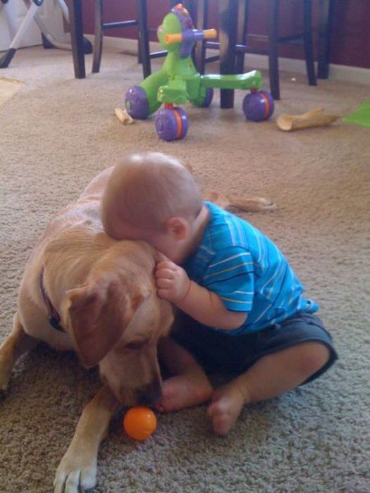 Kid and Dog Friendship (24 pics)