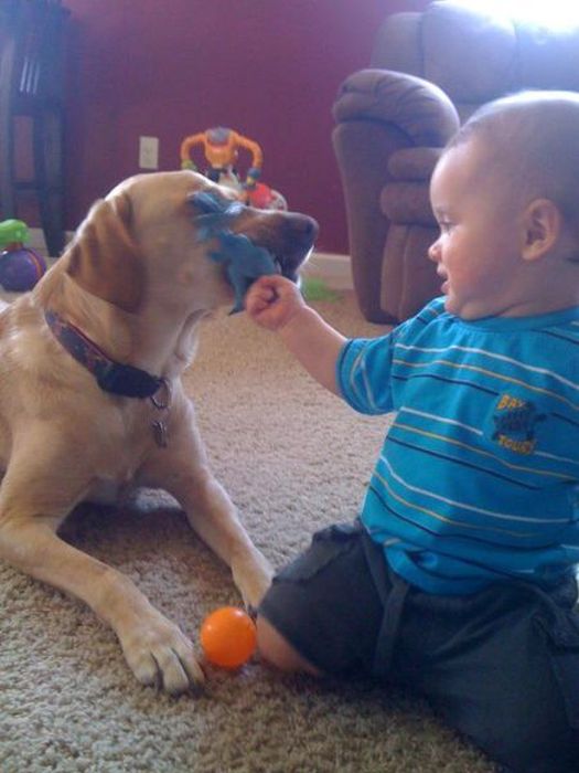 Kid and Dog Friendship (24 pics)