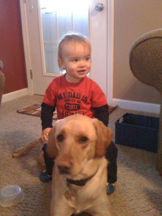 Kid and Dog Friendship (24 pics)