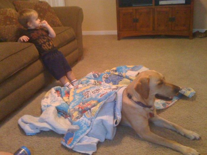 Kid and Dog Friendship (24 pics)