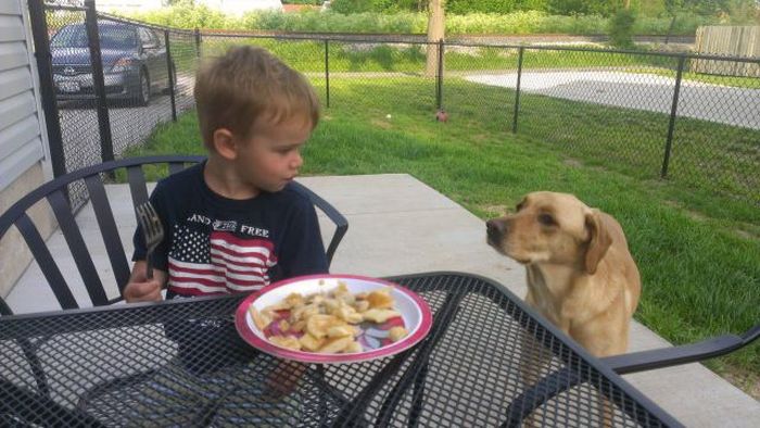 Kid and Dog Friendship (24 pics)